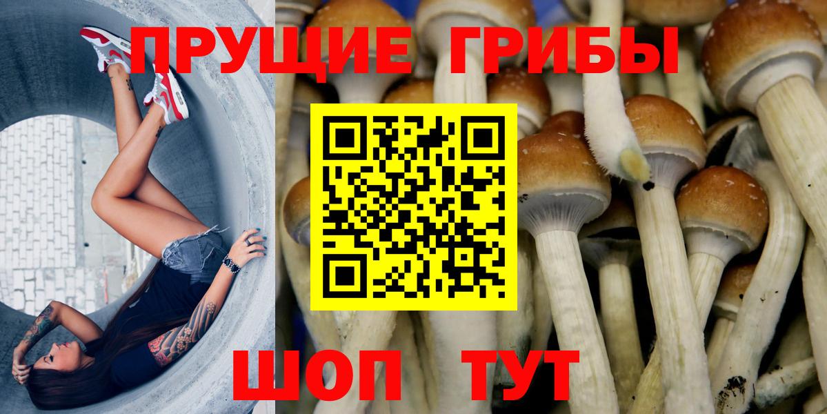 Галлюциногенные грибы MAGIC MUSHROOMS  Вход с VPN  Сыктывкар  Галлюциногенные грибы Psilocybine cubensis 