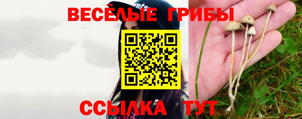 Псилоцибиновые грибы Cubensis Сыктывкар